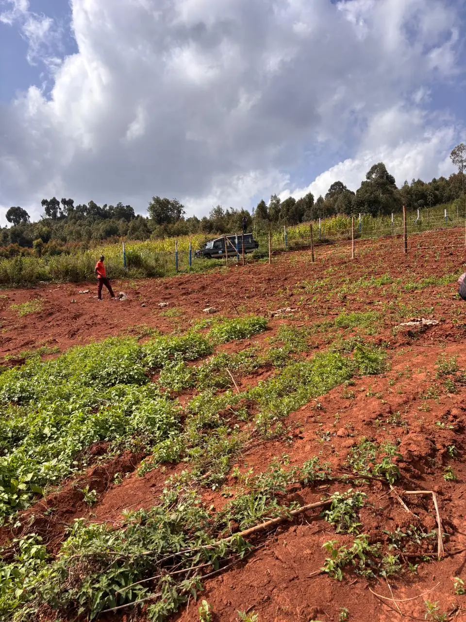 plots for sale in kikuyu, thigio