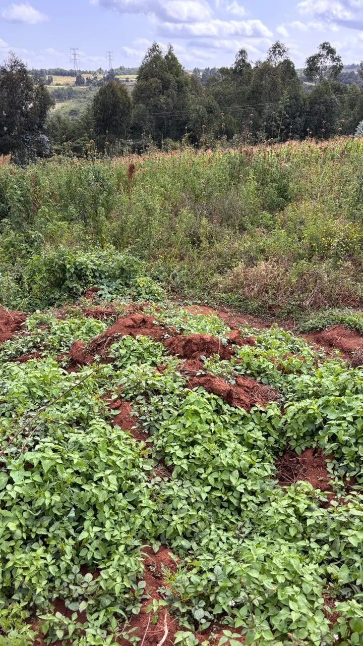 PLOTS FOR SALE IN KIKUYU, THIGIO.