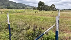 PLOTS FOR SALE IN KIKUYU, NGUIRUBI.