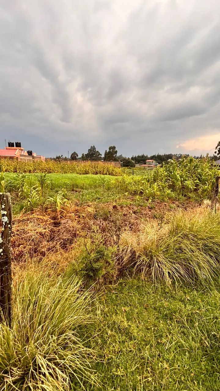 1/2 ACRE FOR SALE IN NYANDARU, ENGINEER TOWN.
