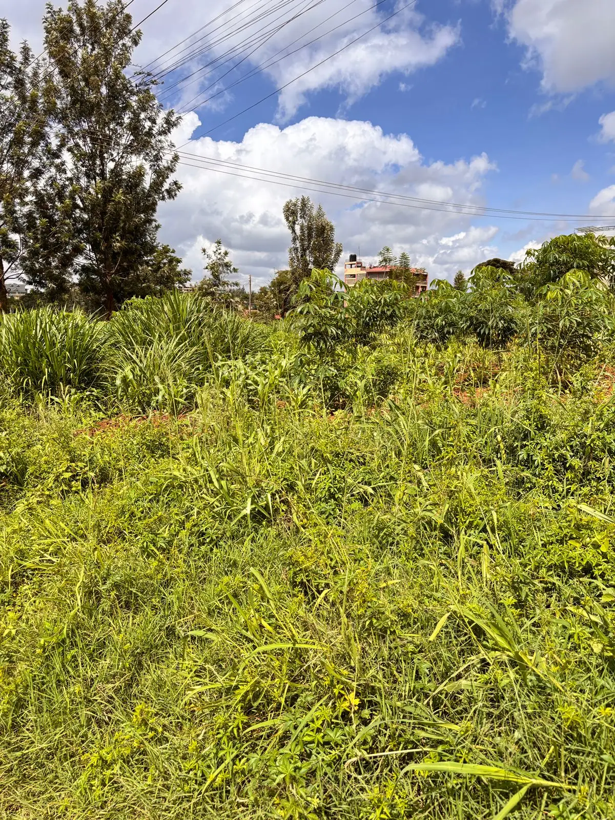 40 BY 60 PLOTS FOR SALE IN JUJA, GWA KAIRU.