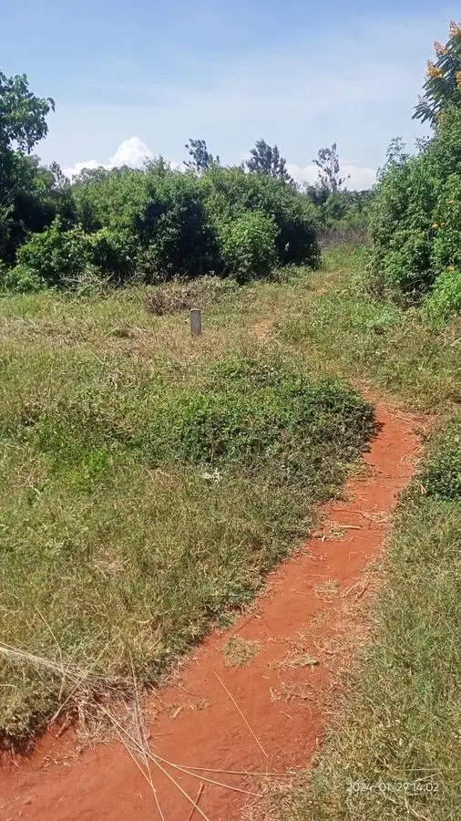 1 ACRE FOR SALE IN MAKUYU, MURANG'A.