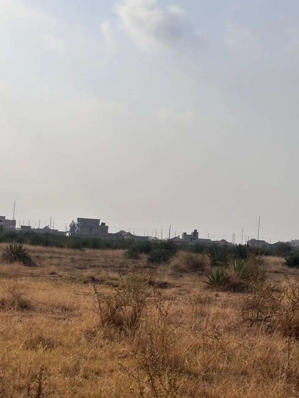 50 BY 100 PLOTS FOR SALE IN JUJA, KALIMONI.