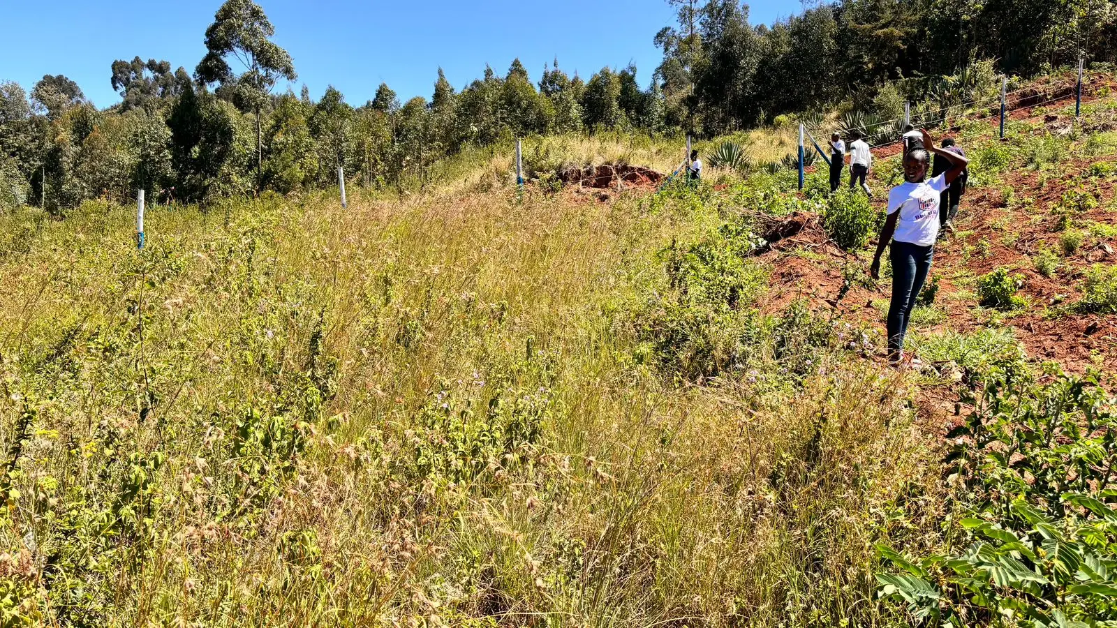 50 BY 100 PLOTS FOR SALE IN KIKUYU, THIGIO.