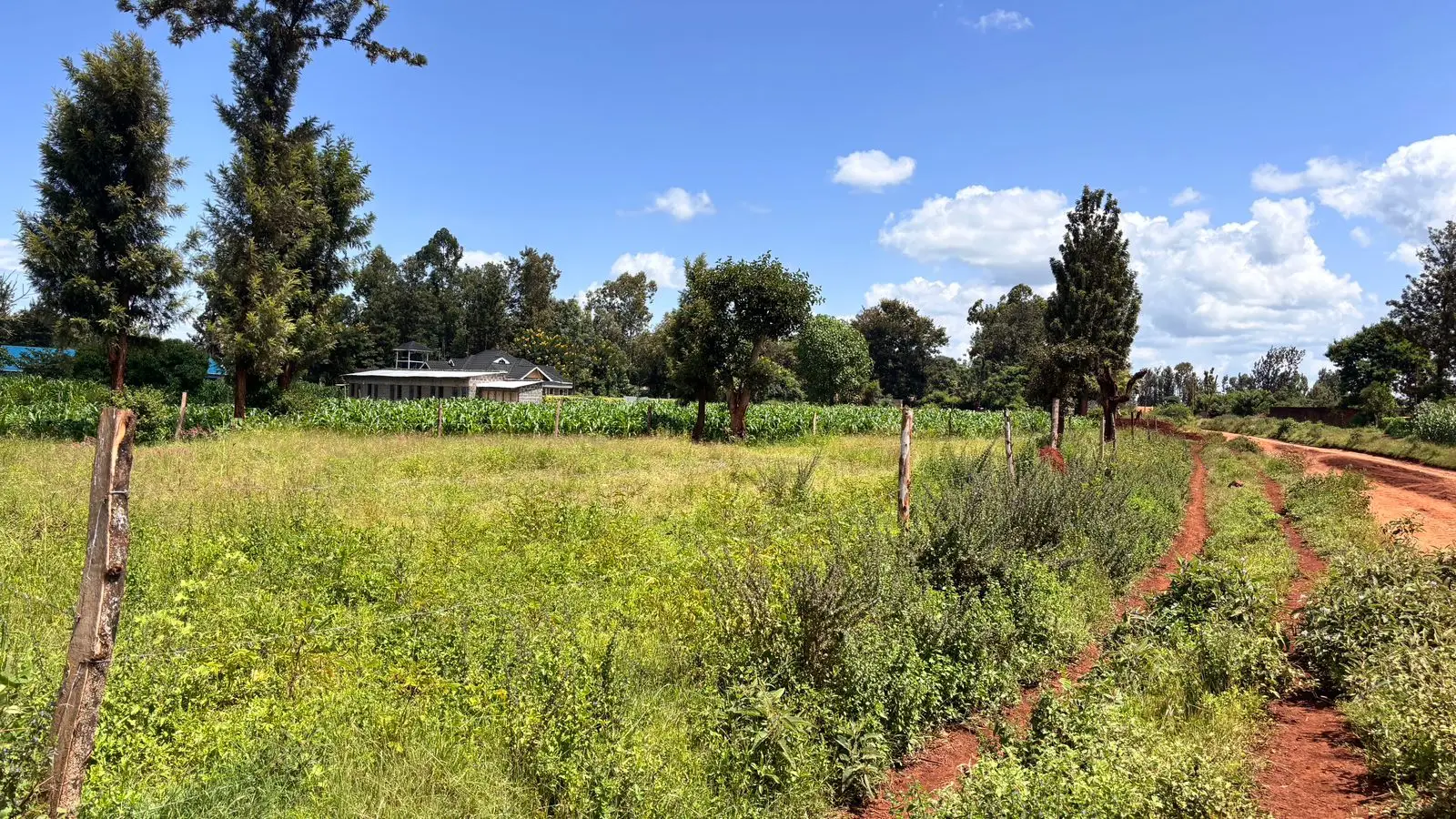 QUARTER ACRE FOR SALE IN KIMBIMBI.