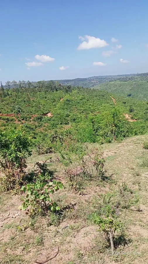 1 ACRE FOR SALE IN MAKUYU, MURANG'A.