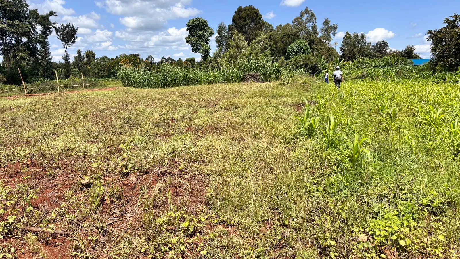 QUARTER ACRE FOR SALE IN KIMBIMBI.