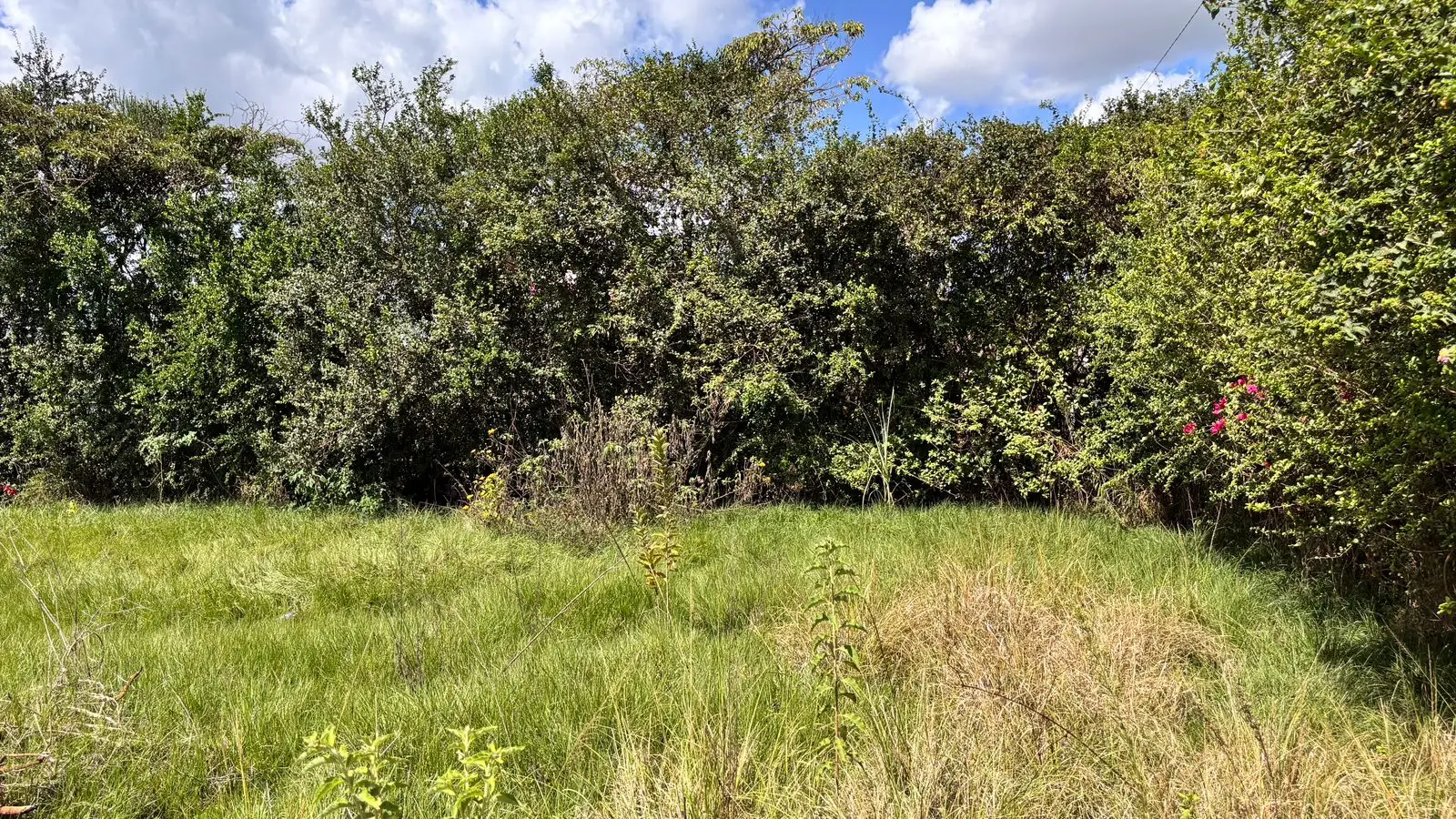 40 BY 80 PLOTS FOR SALE IN JUJA GWA, KAIRU.