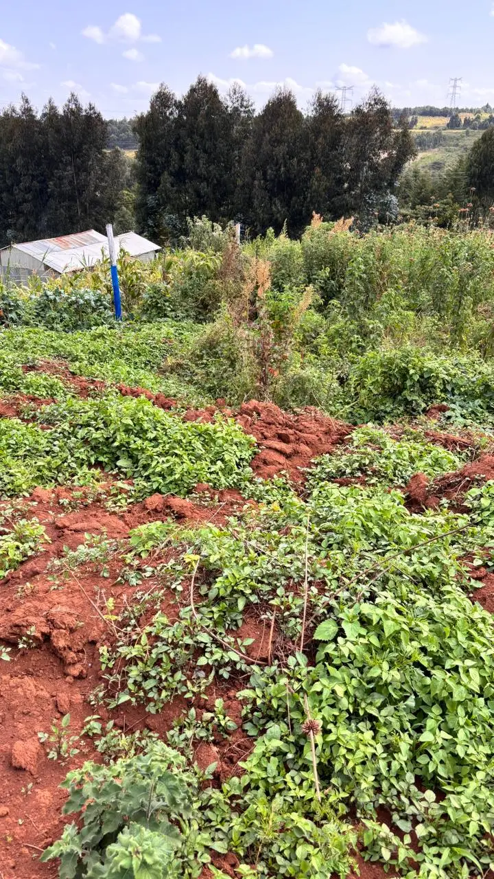 PLOTS FOR SALE IN KIKUYU, THIGIO.