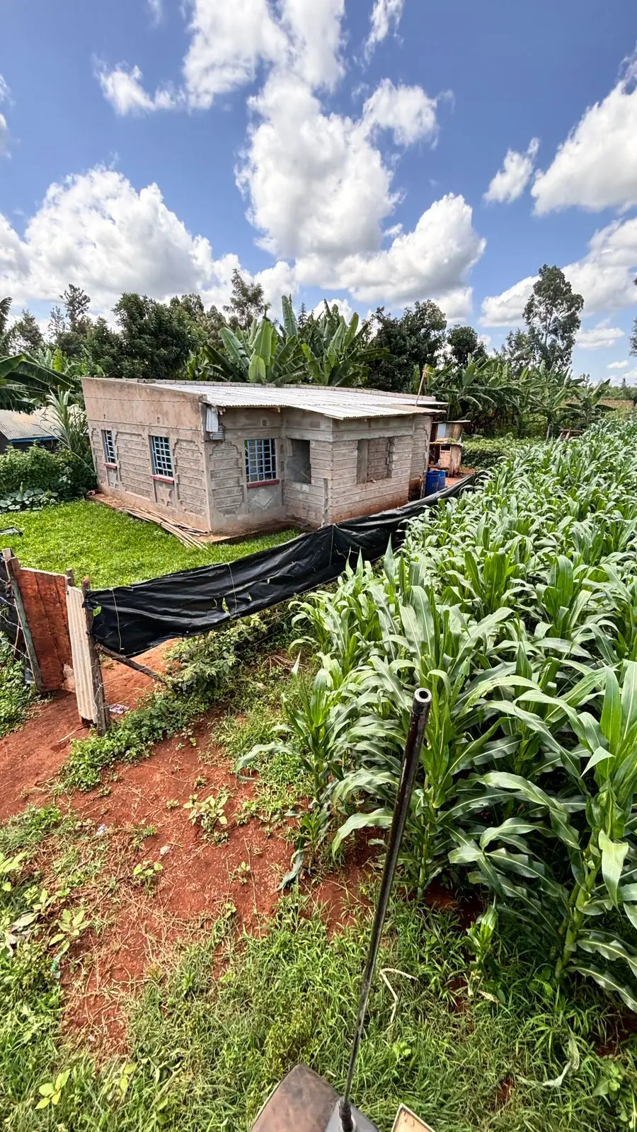 1 ACRE FOR SALE IN KIRINYAGA, KIMBIMBI.