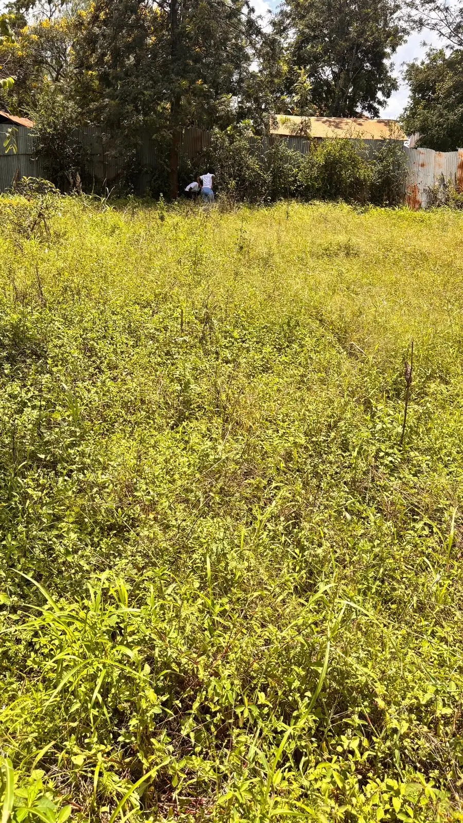 40 BY 80 PLOTS FOR SALE IN JUJA, GWA KAIRU.