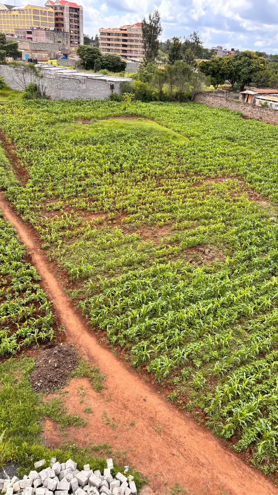 40 BY 60 PLOTS FOR SALE IN JUJA, GWA KAIRU.