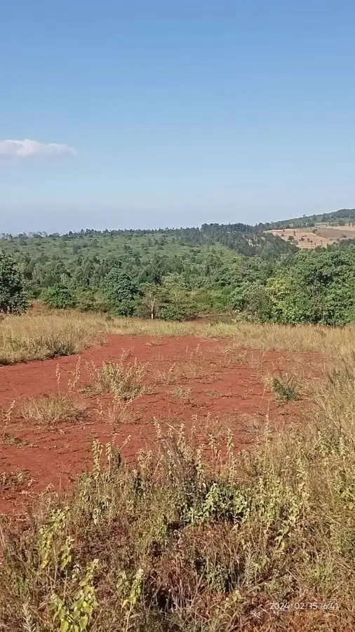 1 ACRE FOR SALE IN MAKUYU, MURANG'A.