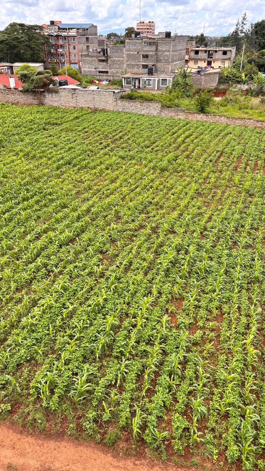40 BY 60 PLOTS FOR SALE IN JUJA, GWA KAIRU.