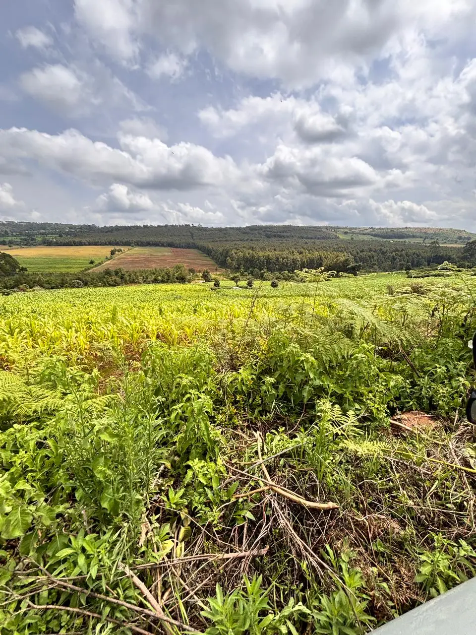 LAND FOR SALE IN NYAHURURU, IGWAMITI.