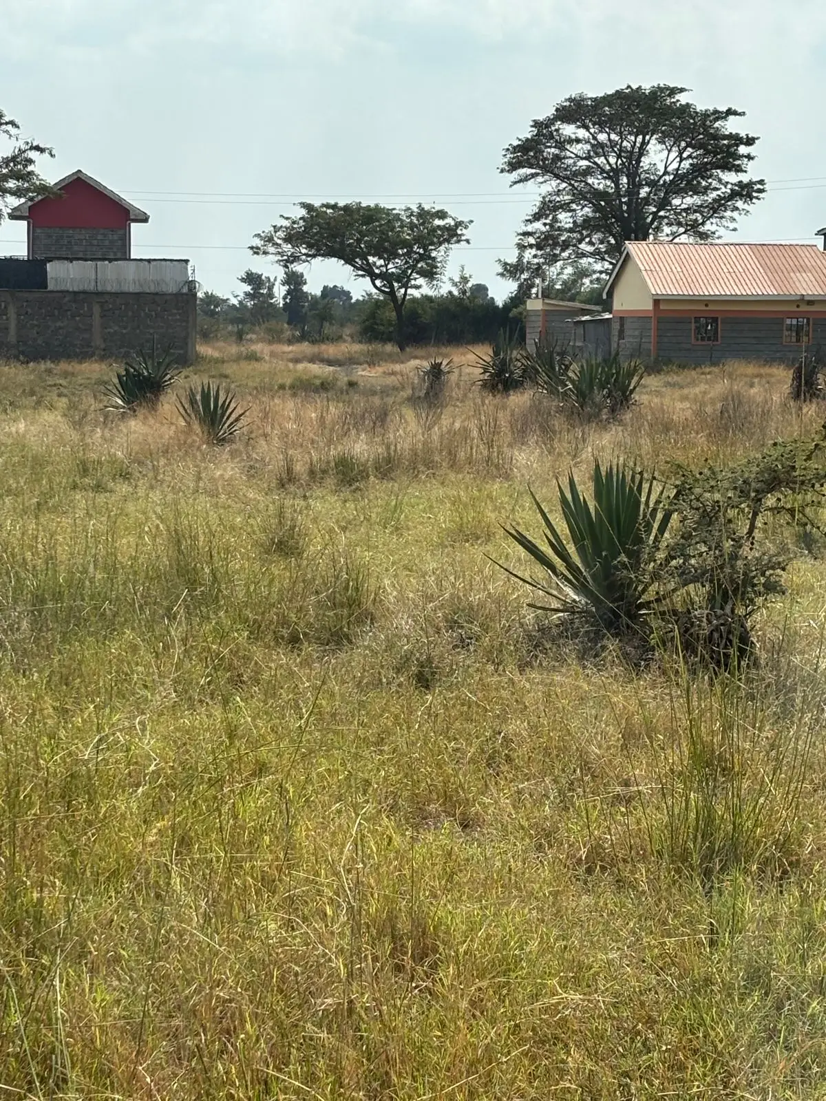 PLOTS FOR SALE IN KALIMONI, JUJA.