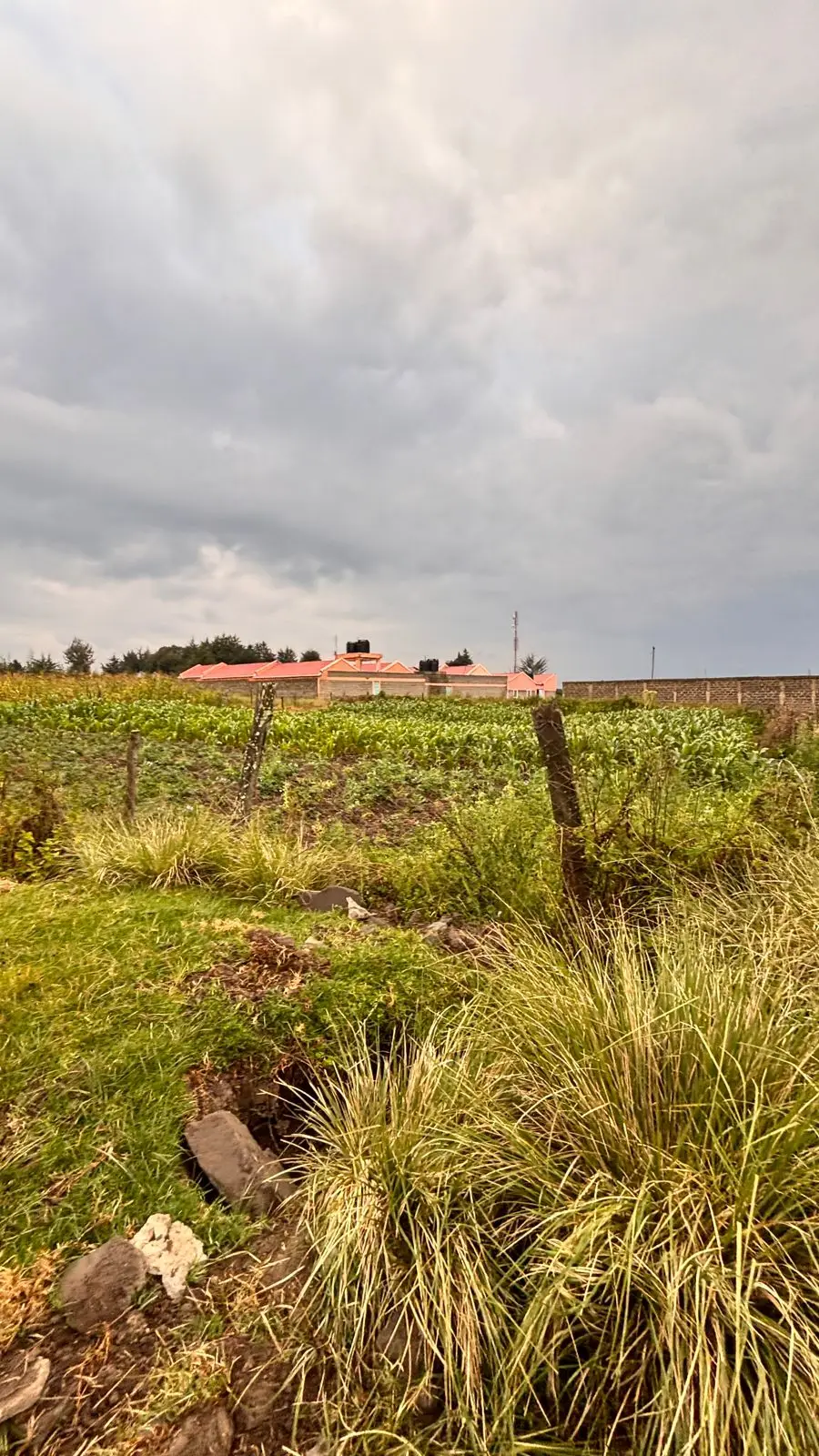1/2 ACRE FOR SALE IN NYANDARU, ENGINEER TOWN.