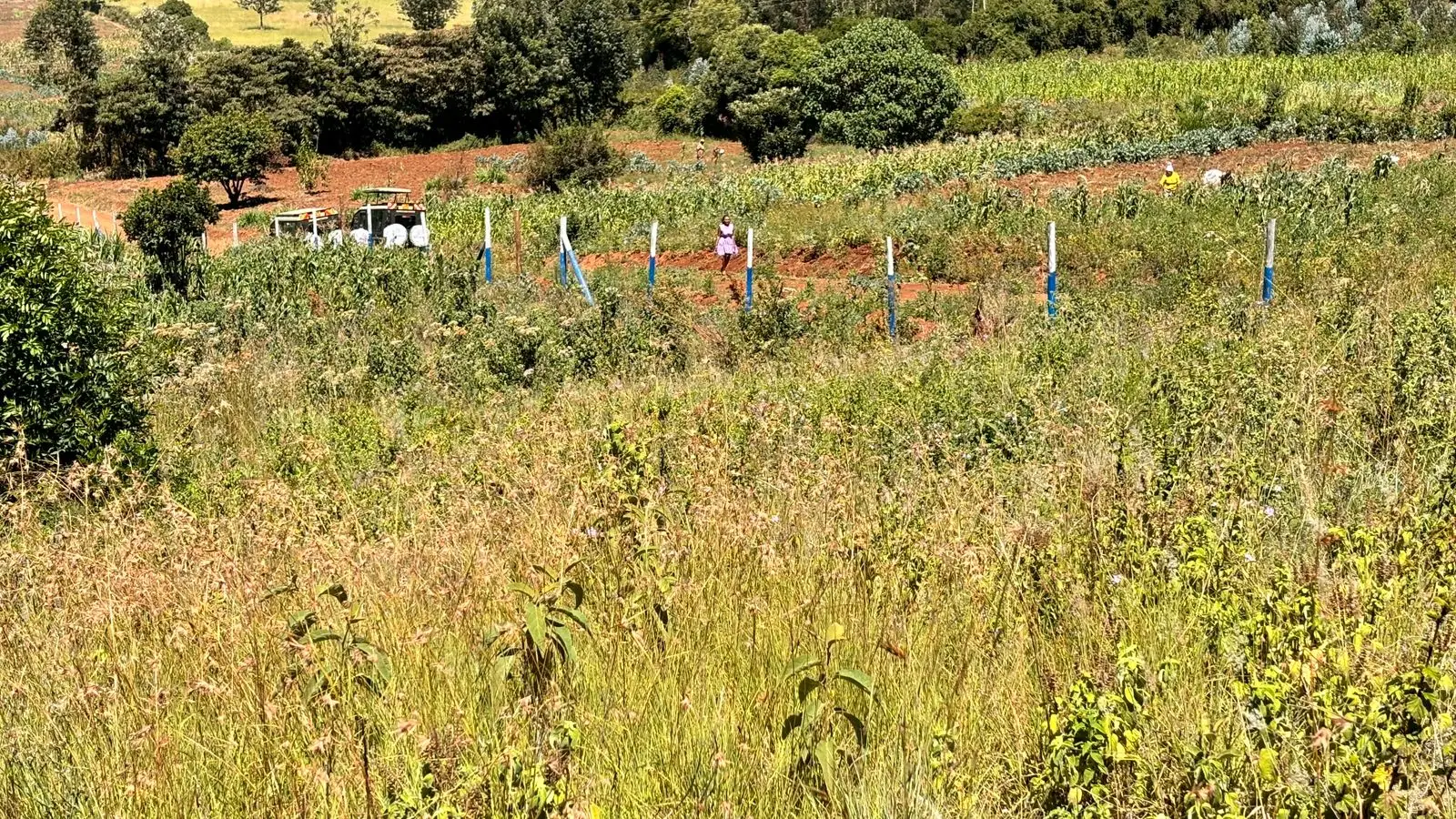 50 BY 100 PLOTS FOR SALE IN KIKUYU, THIGIO.
