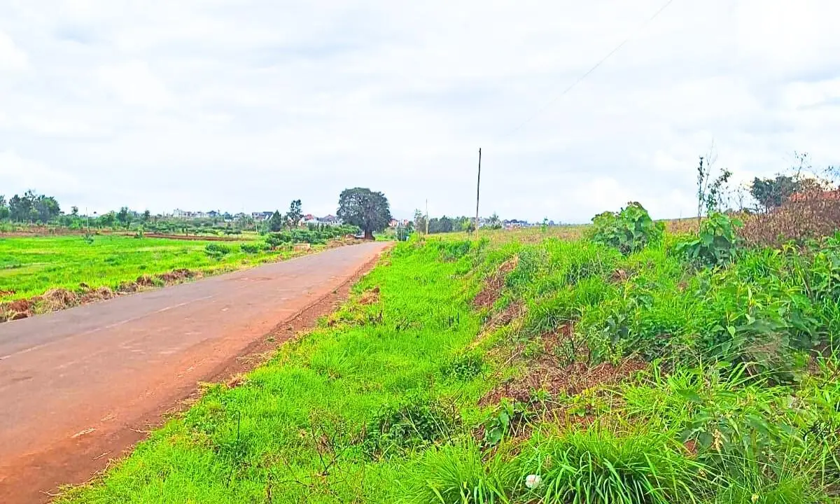 1 ACRE COMMERCIAL LAND FOR SALE IN MURERA, MUGUTHA.