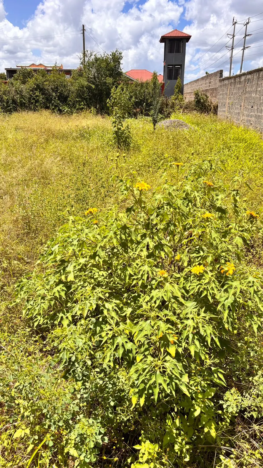 40 BY 80 PLOTS FOR SALE IN JUJA, GWA KAIRU.