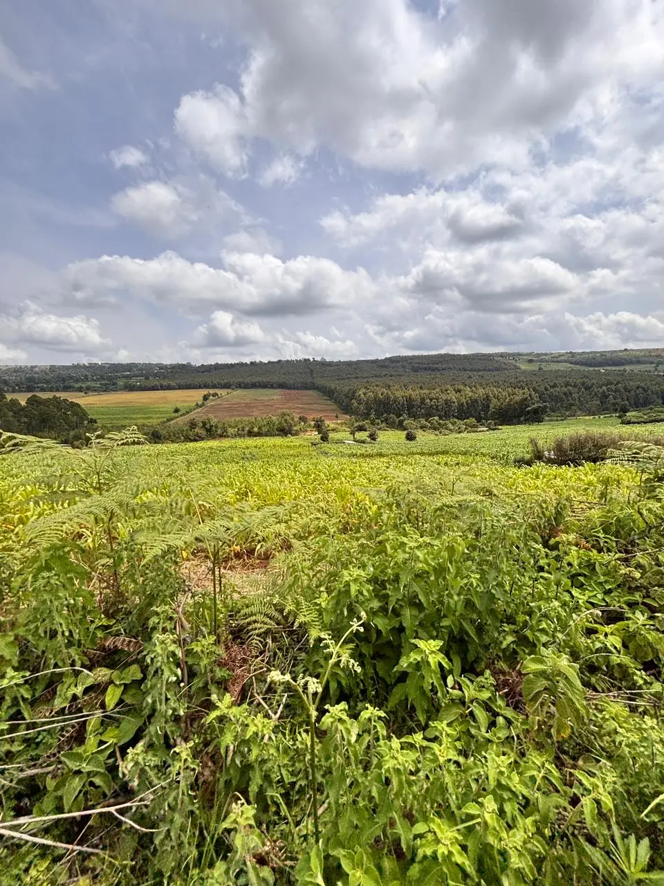 100 BY 100 PLOTS FOR SALE IN KINANGOP, ENGINEER