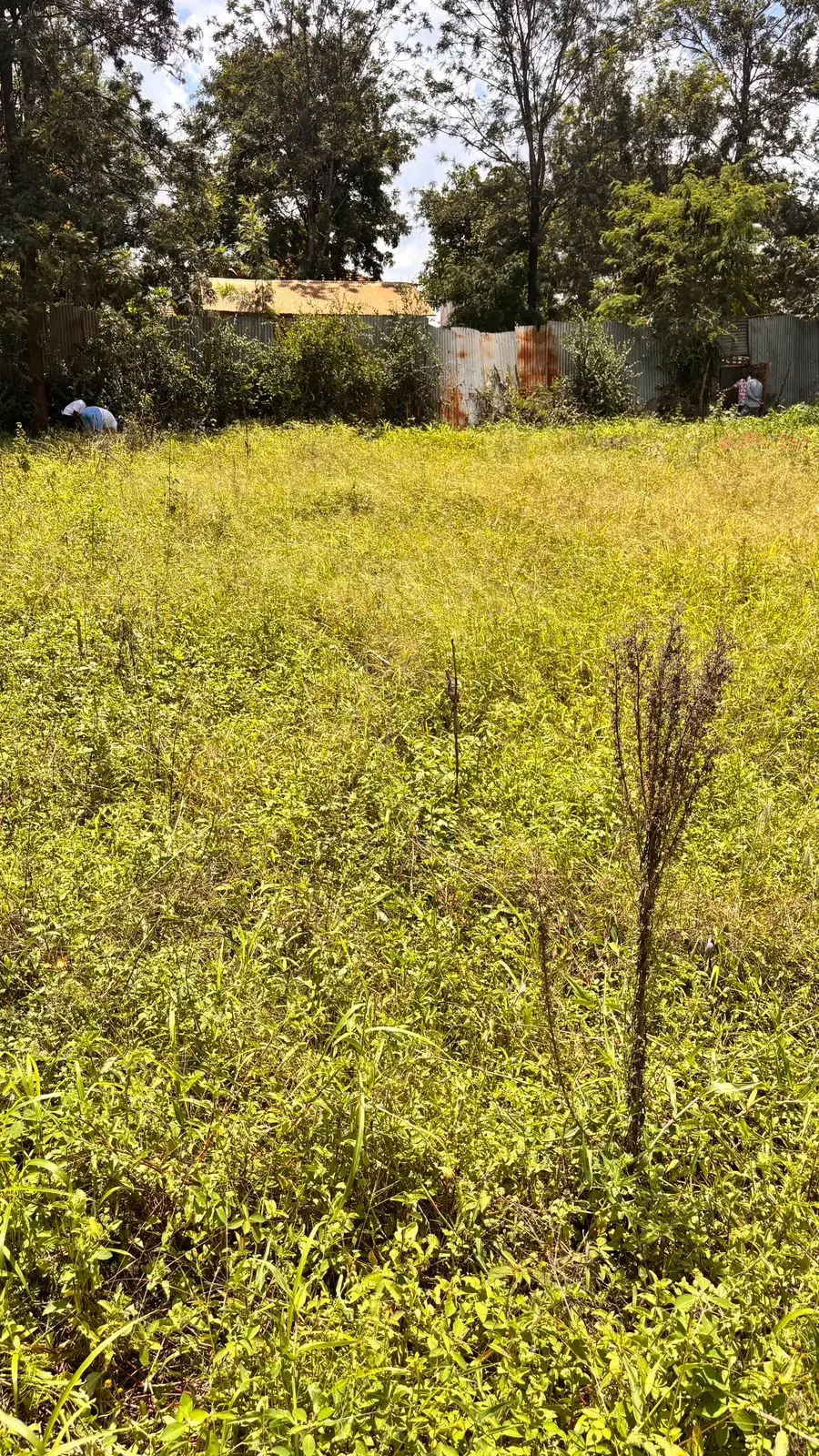 40 BY 80 PLOTS FOR SALE IN JUJA, GWA KAIRU.