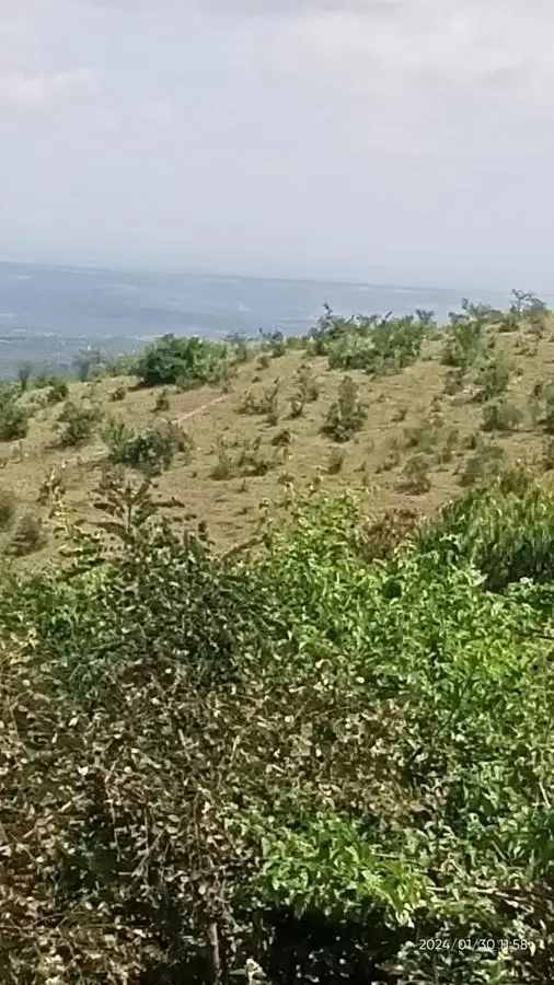 1 ACRE FOR SALE IN MAKUYU, MURANG'A.