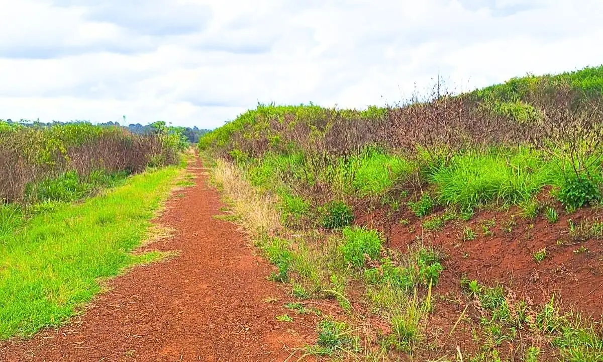 1 ACRE COMMERCIAL LAND FOR SALE IN MURERA, MUGUTHA.