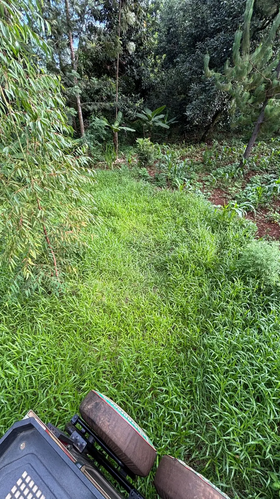 QUARTER ACRE FOR SALE IN KIRINYAGA, KIRUGOYA.