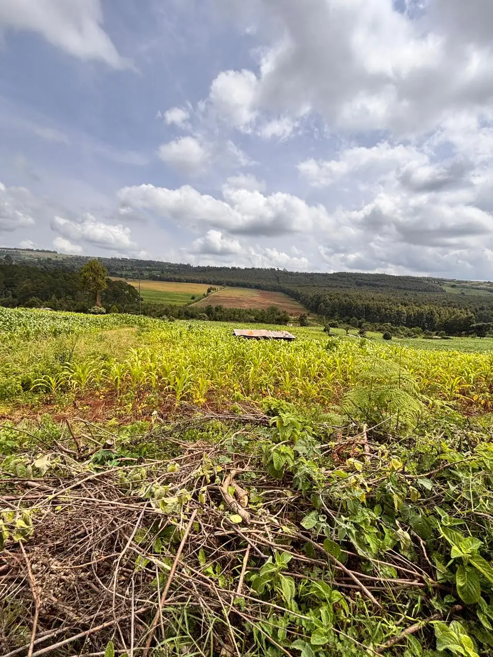 100 BY 100 PLOTS FOR SALE IN KINANGOP, ENGINEER