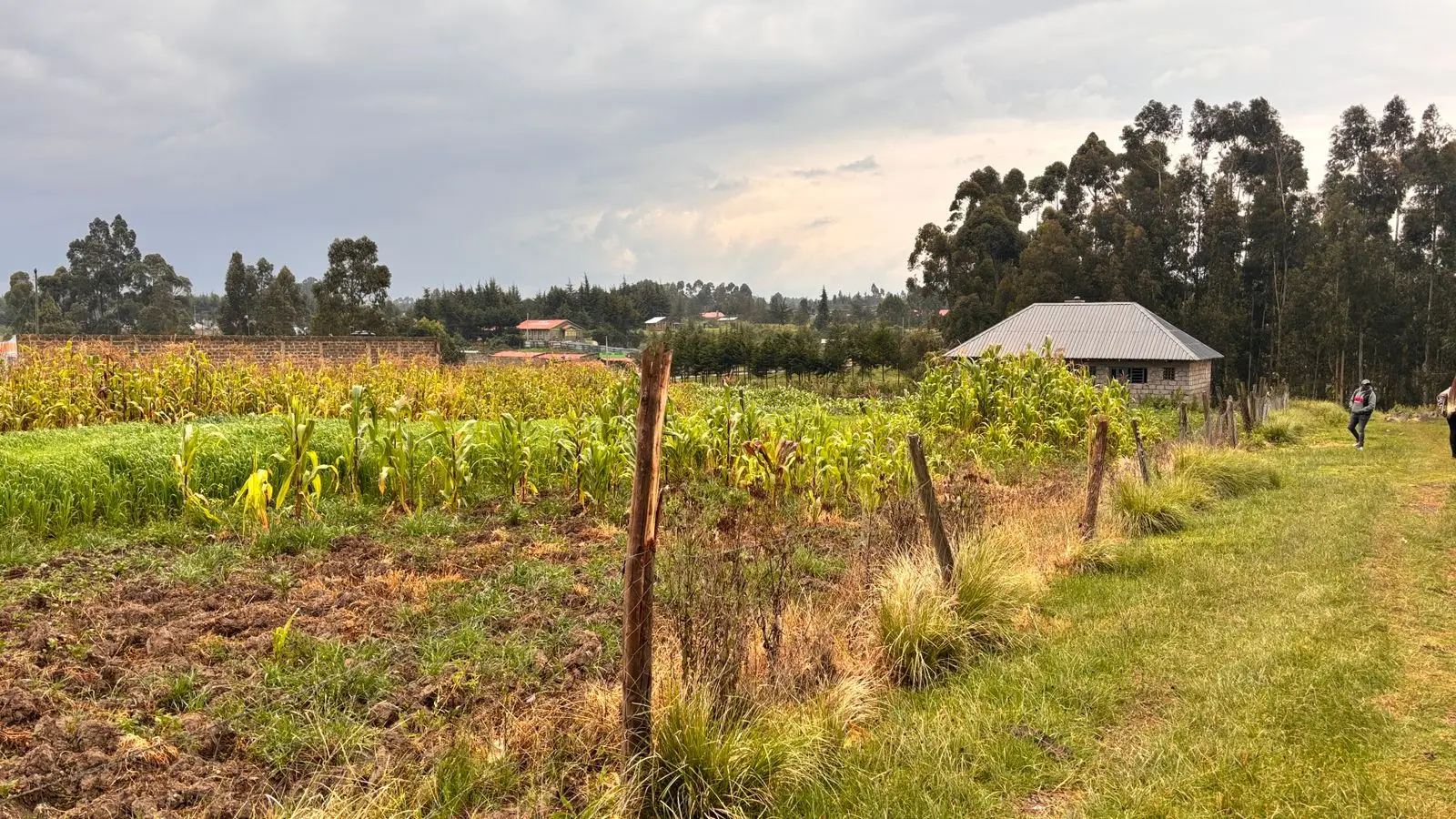1/2 ACRE FOR SALEE IN KINANGOP, ENGINEER.