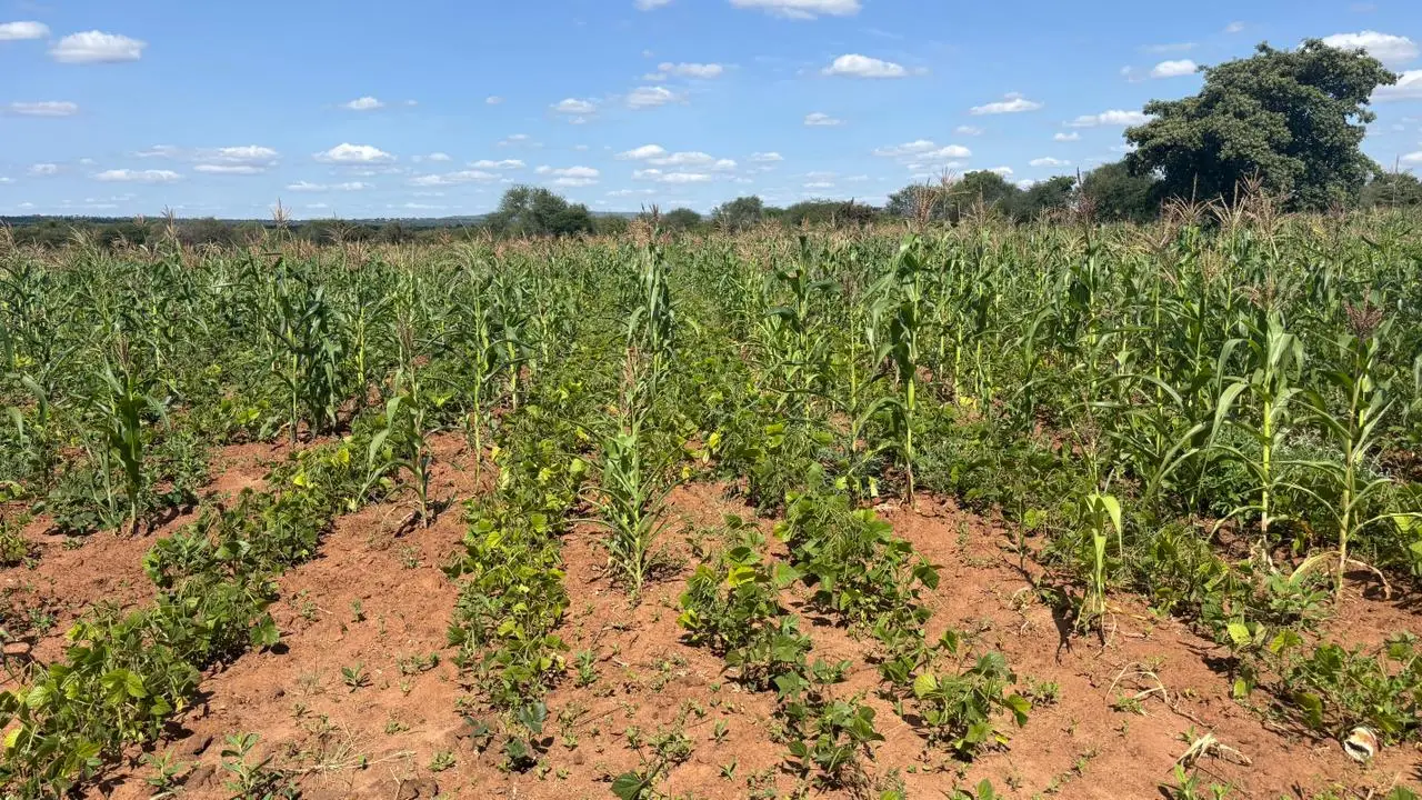 5 ACRES FOR SALE IN MACHAKOS, MASINGA.