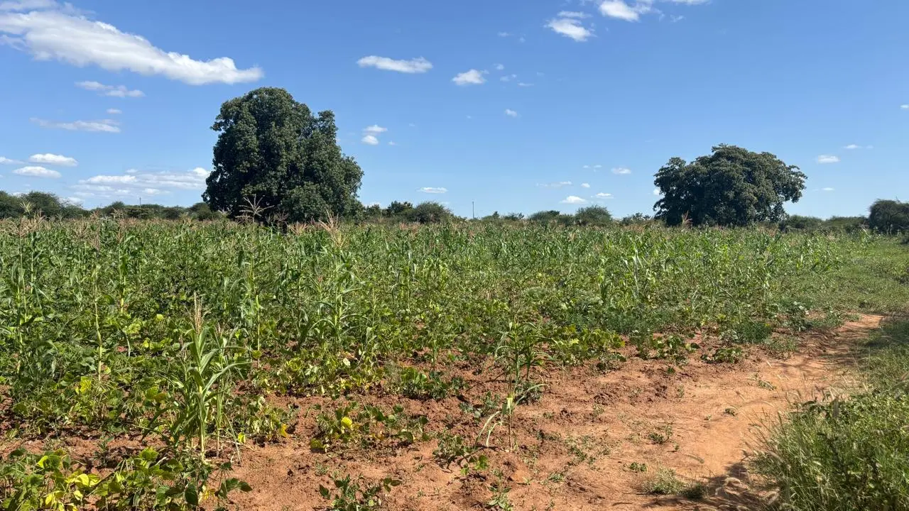 5 ACRES FOR SALE IN MACHAKOS, MASINGA.