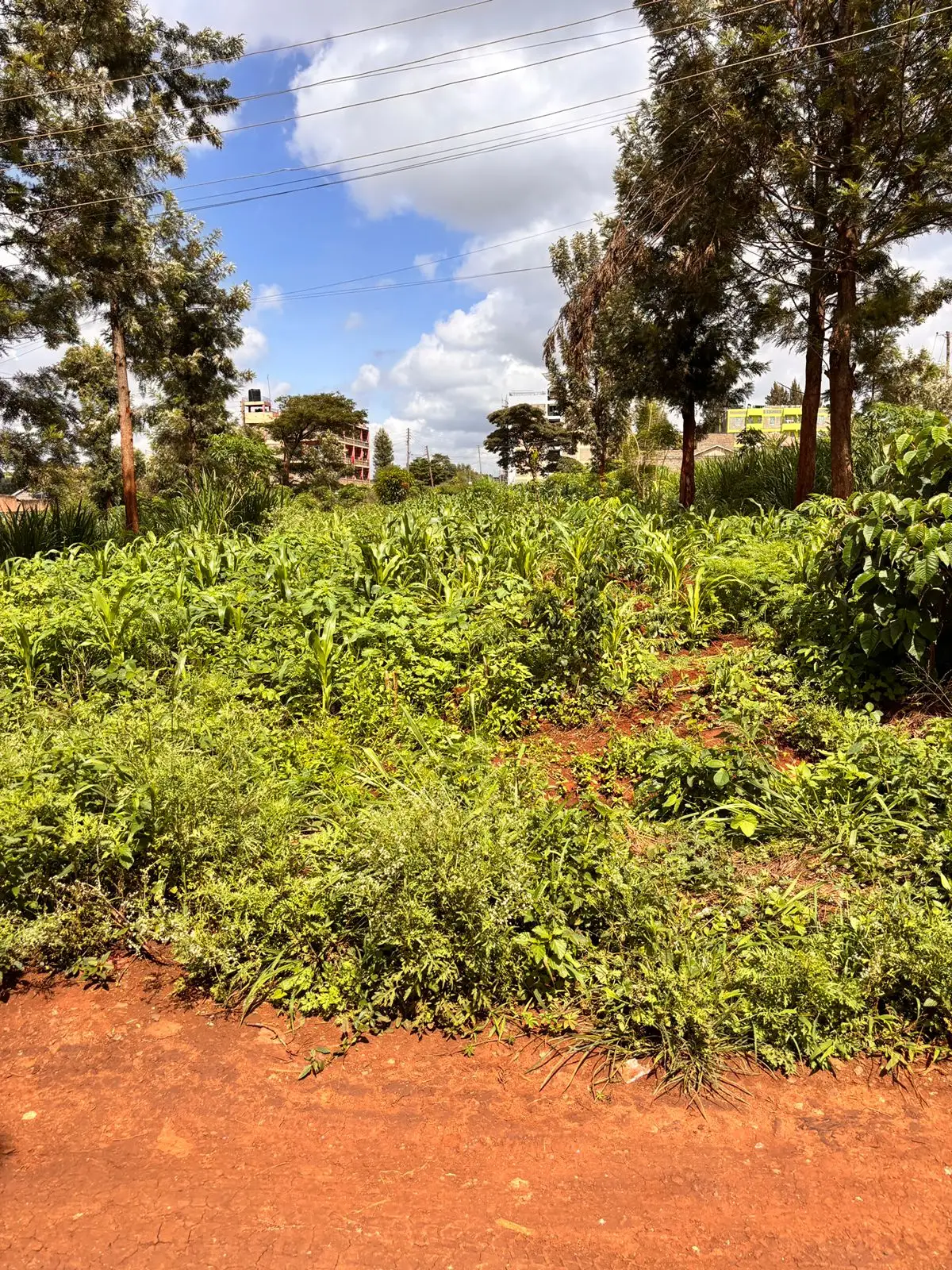 40 BY 60 PLOTS FOR SALE IN JUJA, GWA KAIRU.