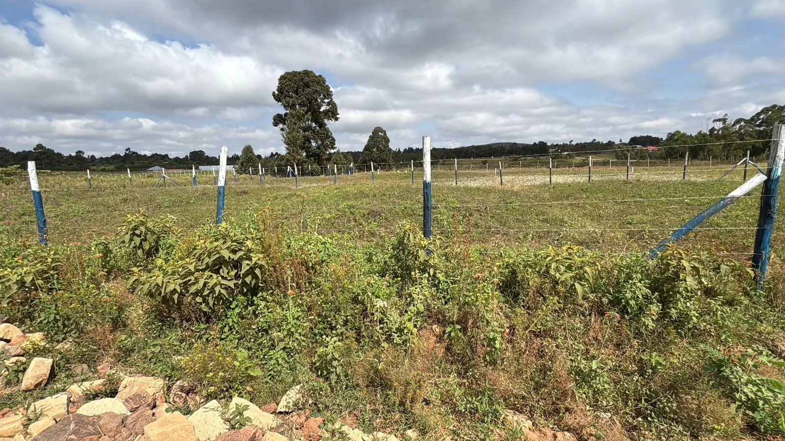 50 BY 100 PLOTS FOR SALE IN NDEIYA, NGUIRUBI.