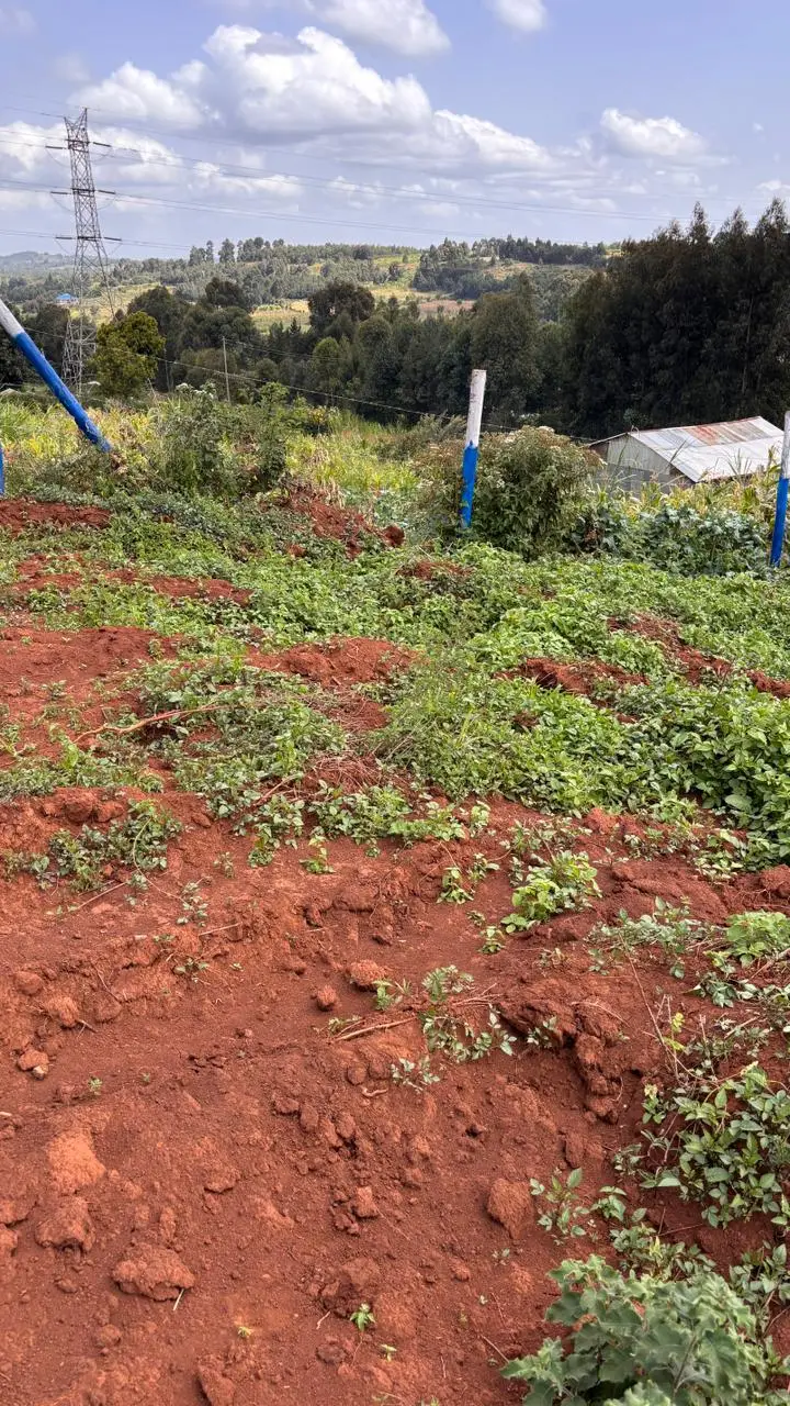 50 BY 100 PLOTS FOR SALE IN KIKUYU, THIGIO.