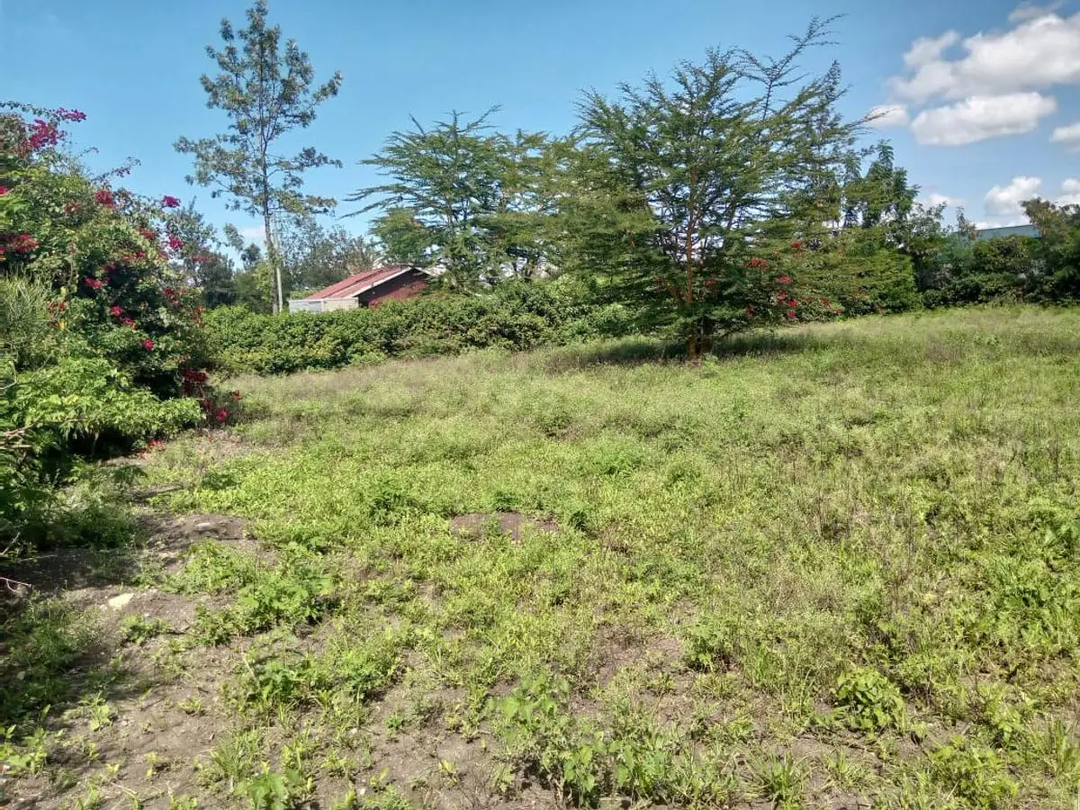 1/4 ACRE FOR SALE IN RUIRU, KAMAKIS.