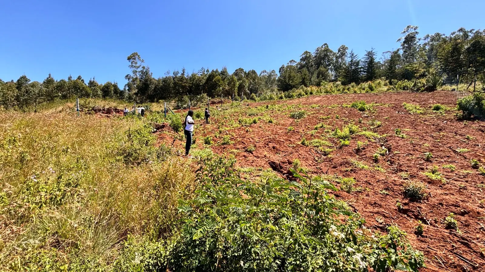 PLOTS FOR SALE IN KIKUYU, THIGIO.