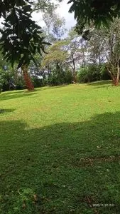 1 ACRE FOR SALE IN MAKUYU, MURANG'A.