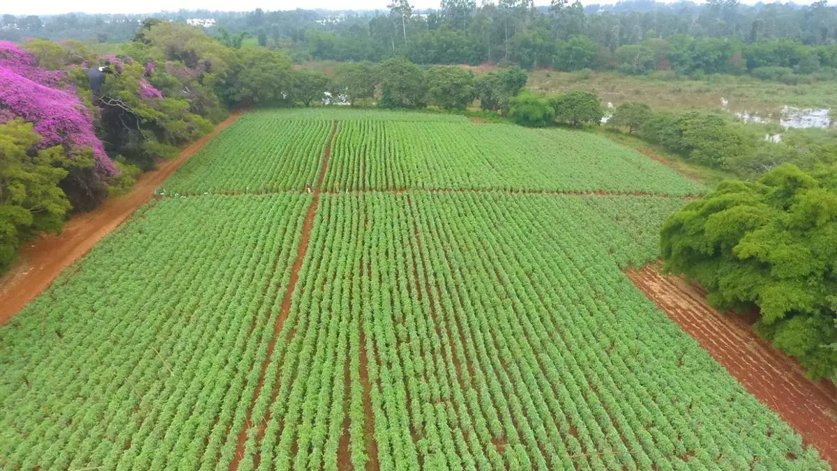 2 ACRES FOR SALE IN THIKA, MAKONGENI.