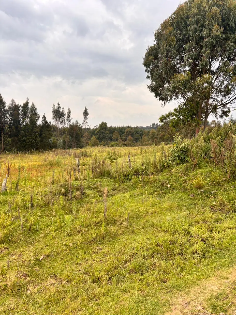 1/2 ACRE FOR SALE IN NYANDARU, ENGINEER TOWN.