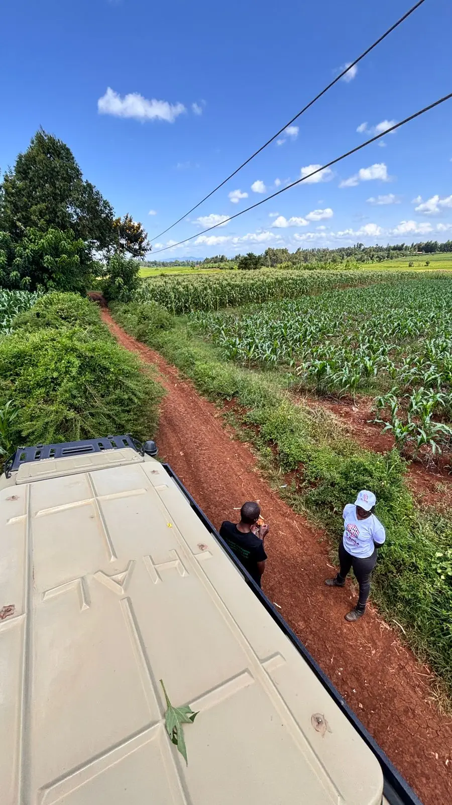 1 ACRE FOR SALE IN KIRINYAGA, KIMBIMBI.