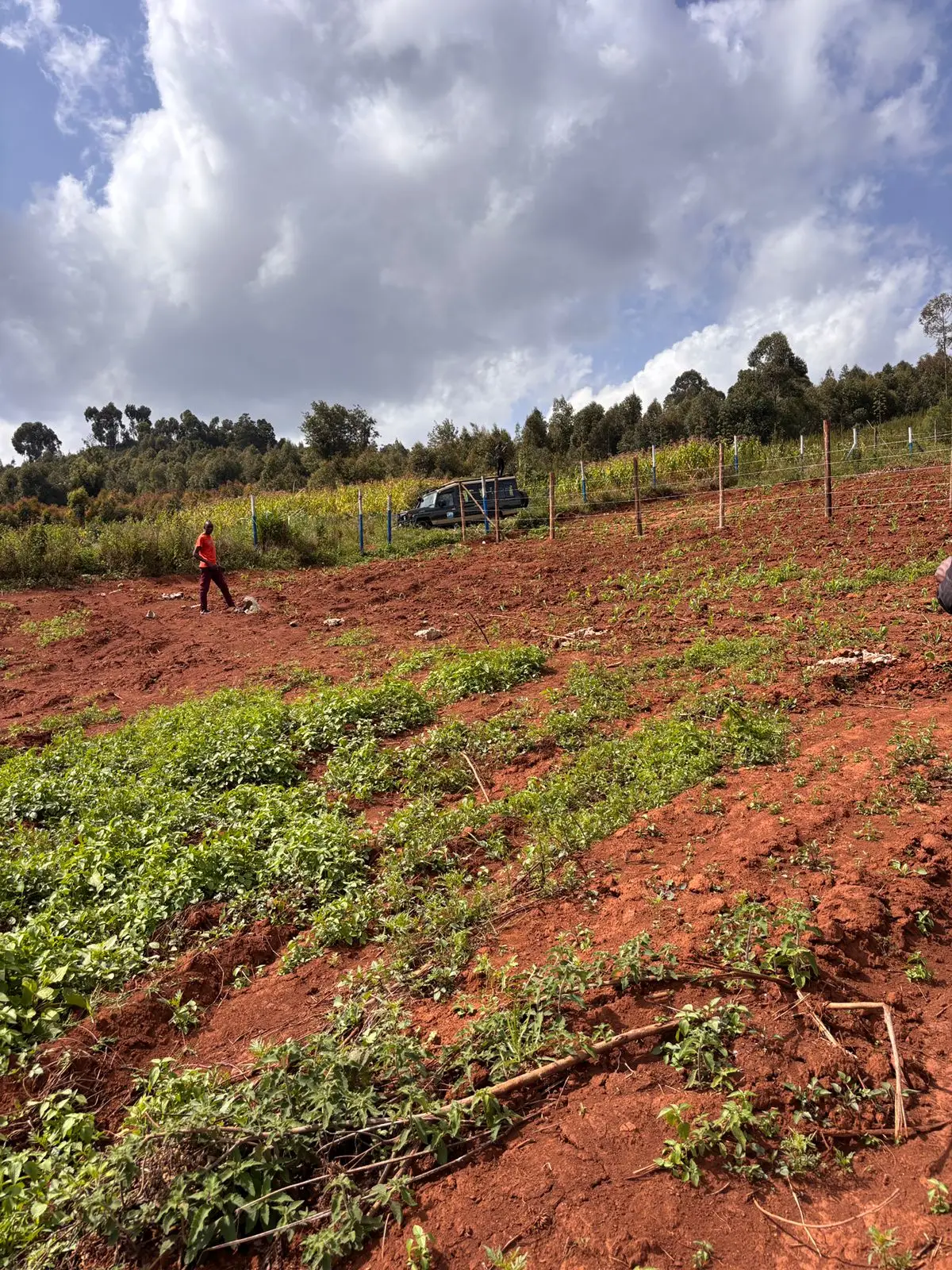 50 BY 100 PLOTS FOR SALE IN KIKUYU, THIGIO.