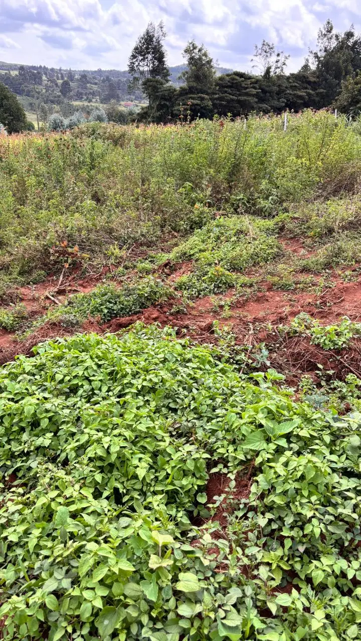 PLOTS FOR SALE IN KIKUYU, THIGIO.