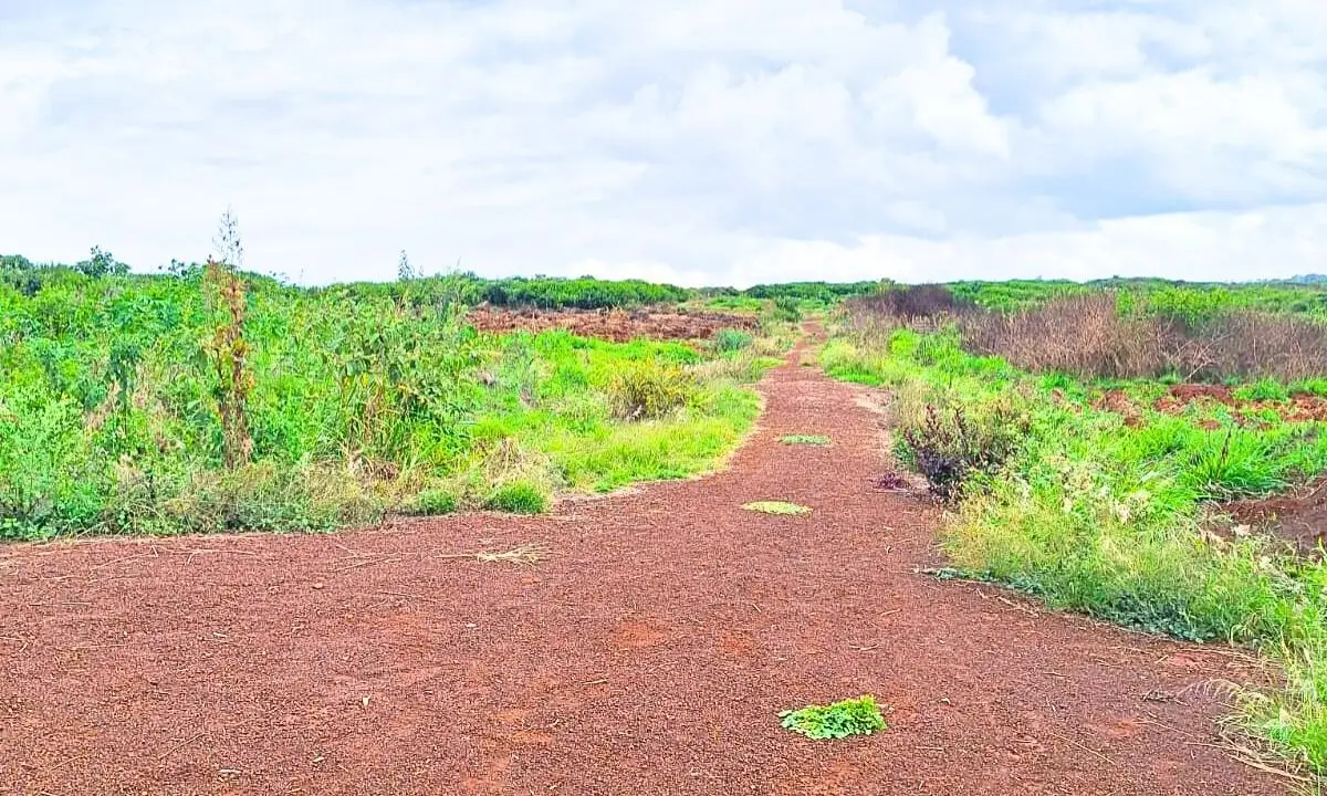 1 ACRE COMMERCIAL LAND FOR SALE IN MURERA, MUGUTHA.