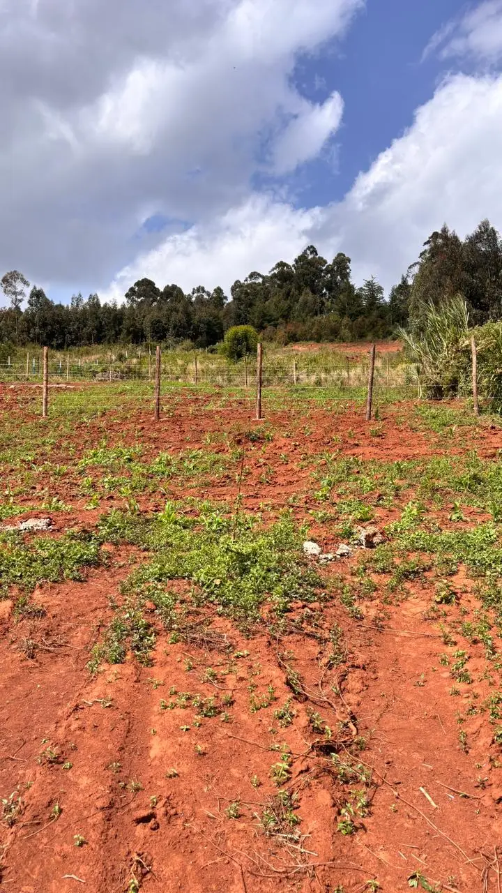 PLOTS FOR SALE IN KIKUYU, THIGIO.