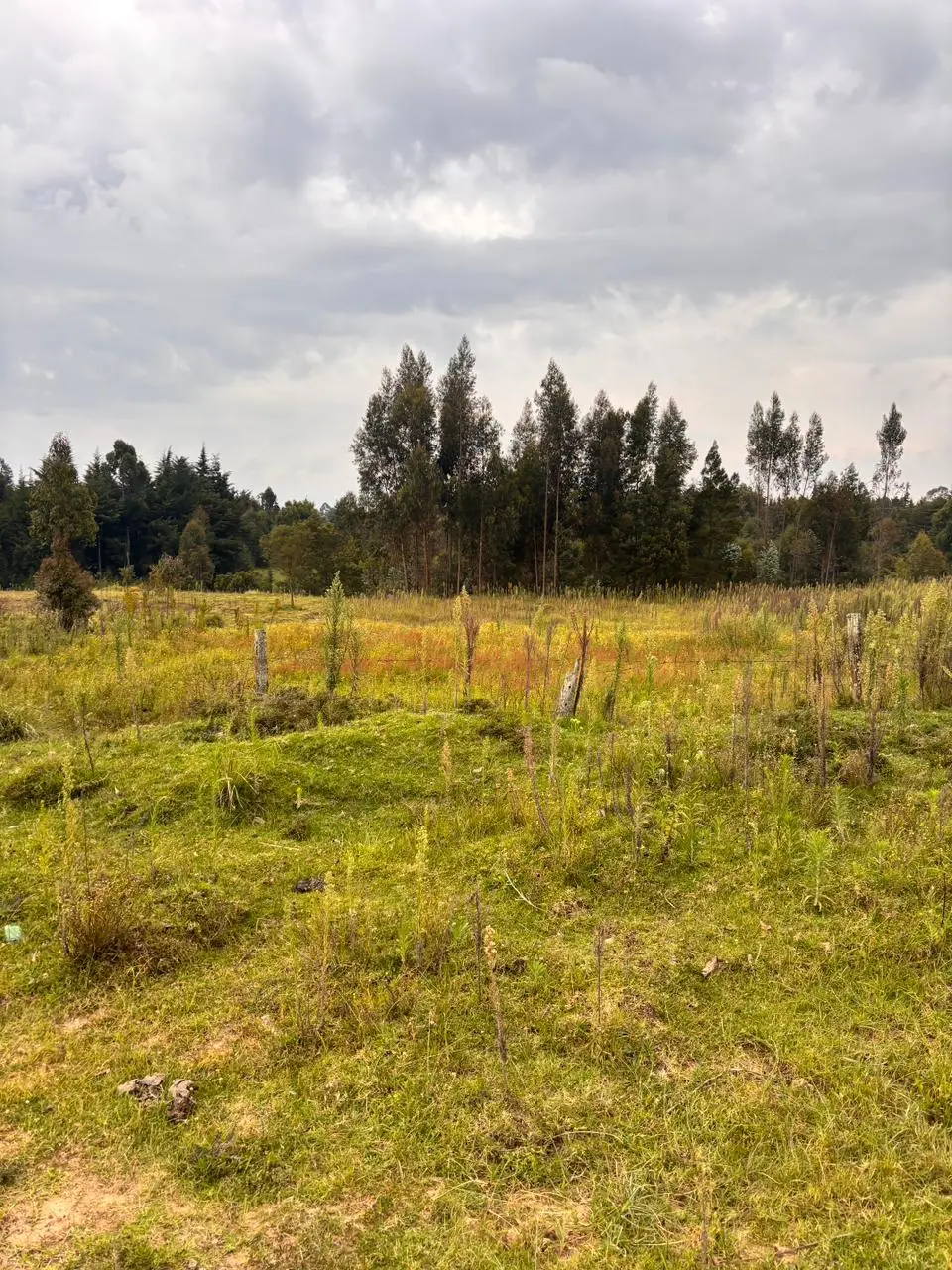 1/2 ACRE FOR SALE IN NYANDARU, ENGINEER TOWN.