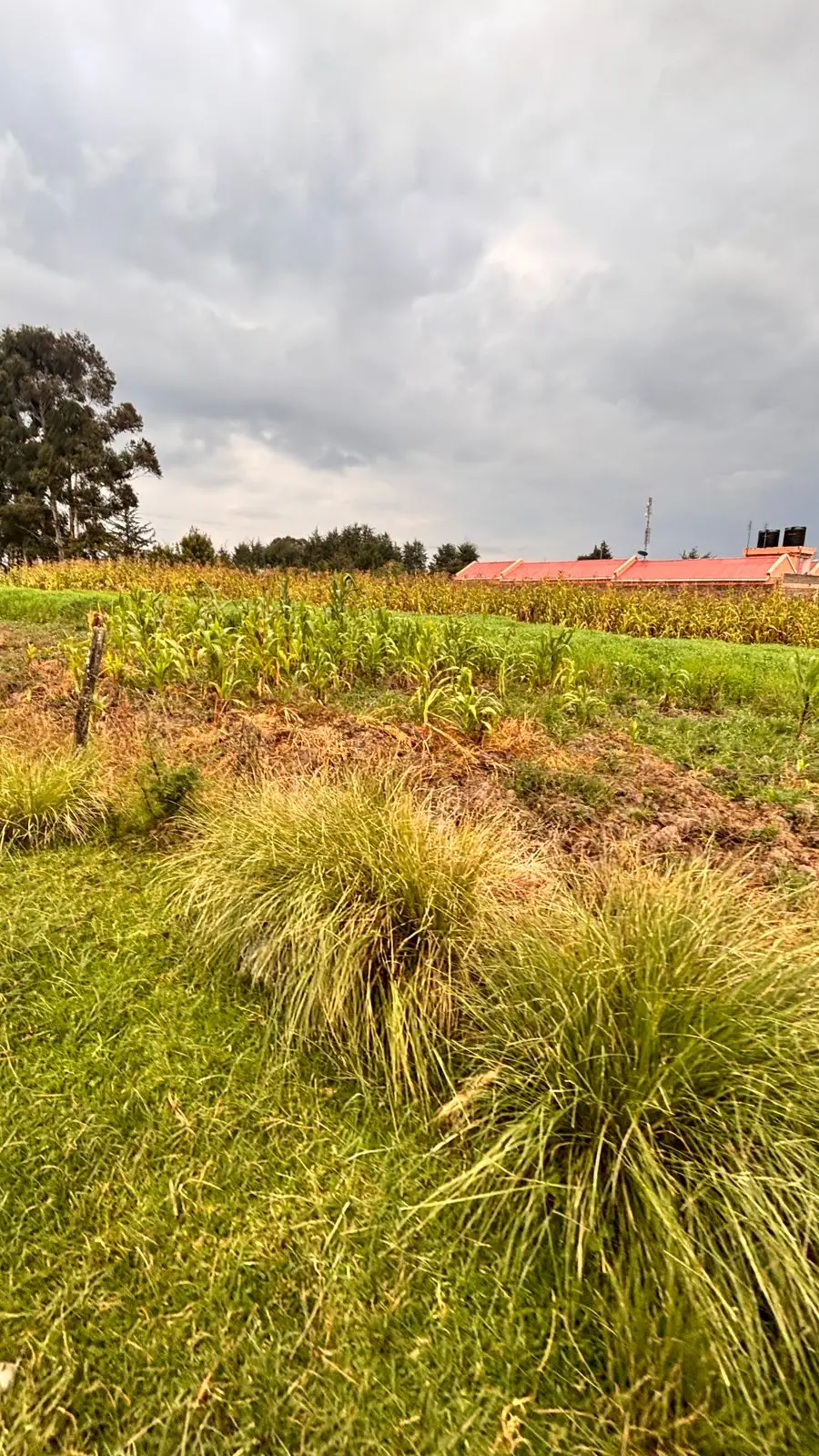 1/2 ACRE FOR SALE IN NYANDARU, ENGINEER TOWN.
