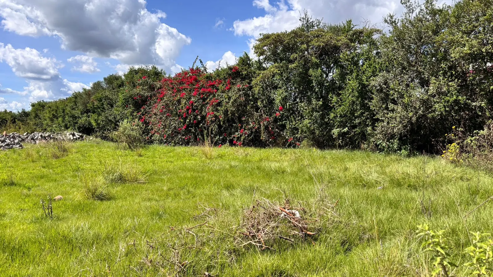 40 BY 80 PLOTS FOR SALE IN JUJA, GWA KAIRU.