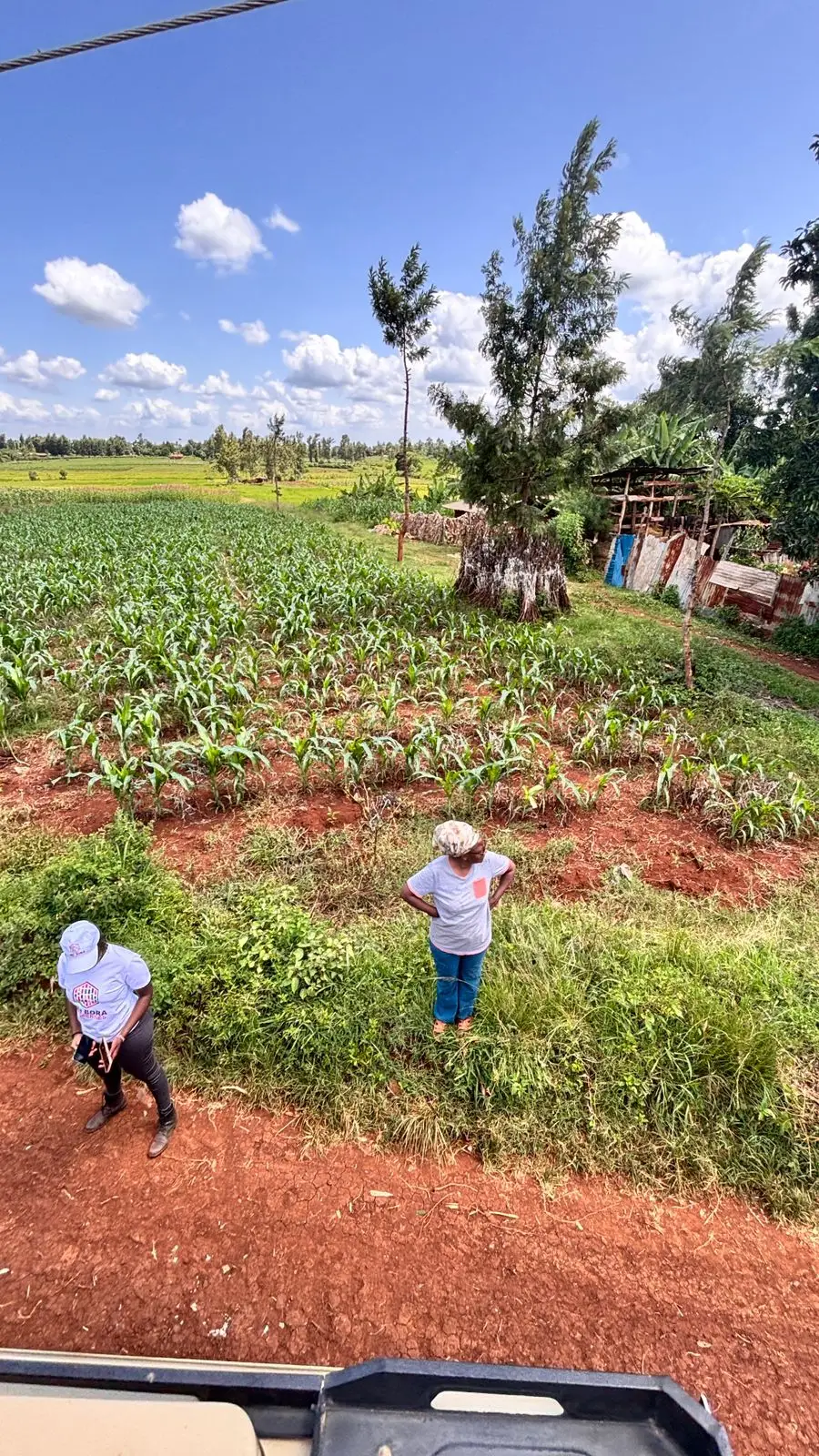 1 ACRE FOR SALE IN KIRINYAGA, KIMBIMBI.